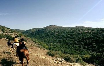 RachelEthridgePhoto2