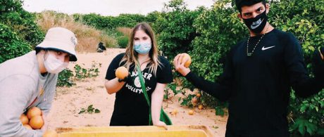 volunteer in israel