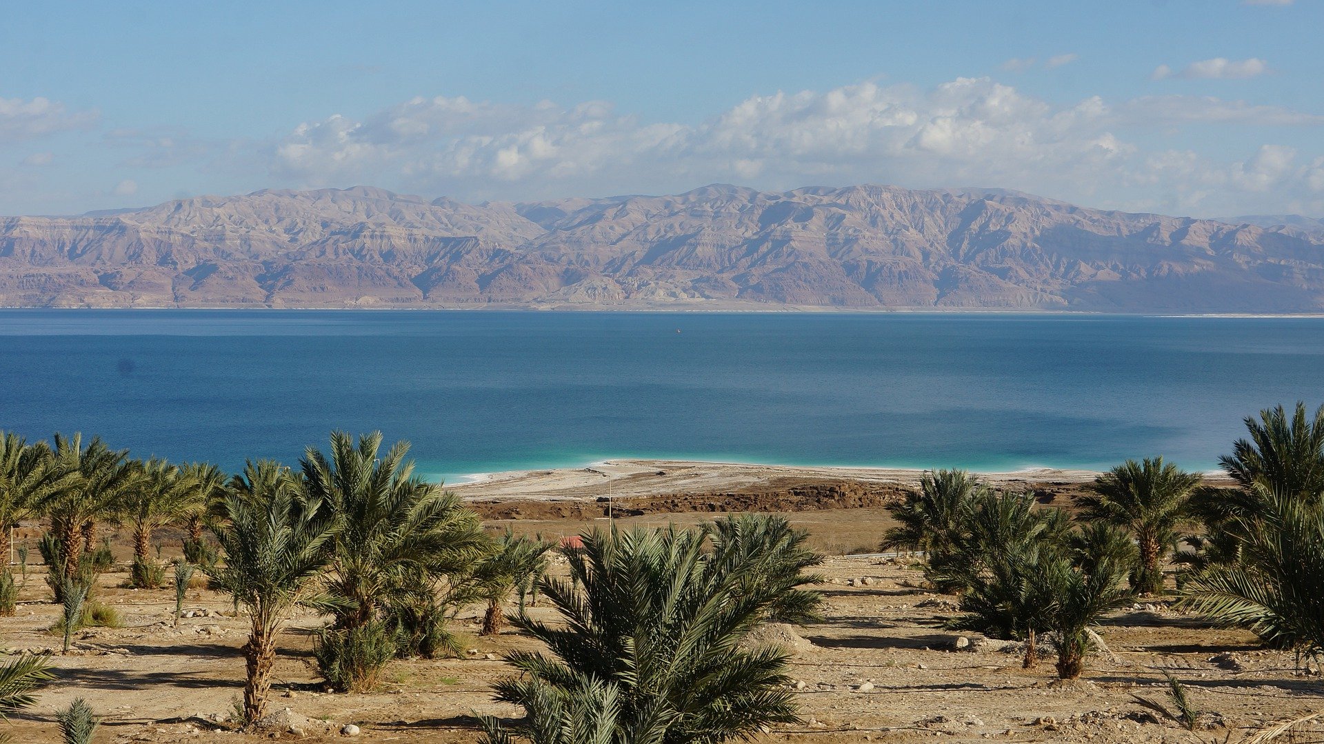 The Dead Sea and its salt-crusted shore