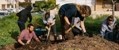 volunteer for israel