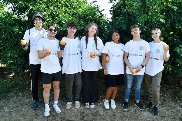 volunteer in israel