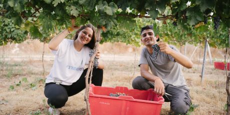 volunteer in israel october 2025