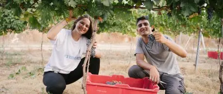 israel volunteer trips 2026